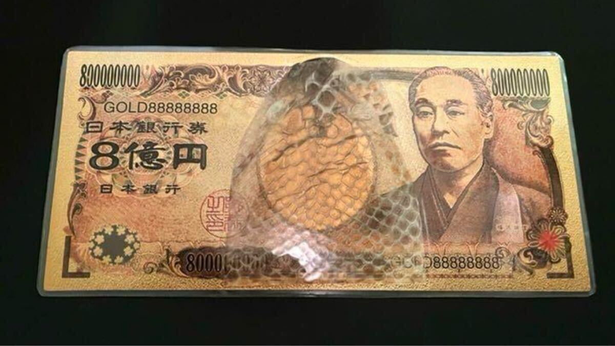 アナコンダの抜け殻 金運 幸運 魔除け 家内安全 一攫千金拍卖