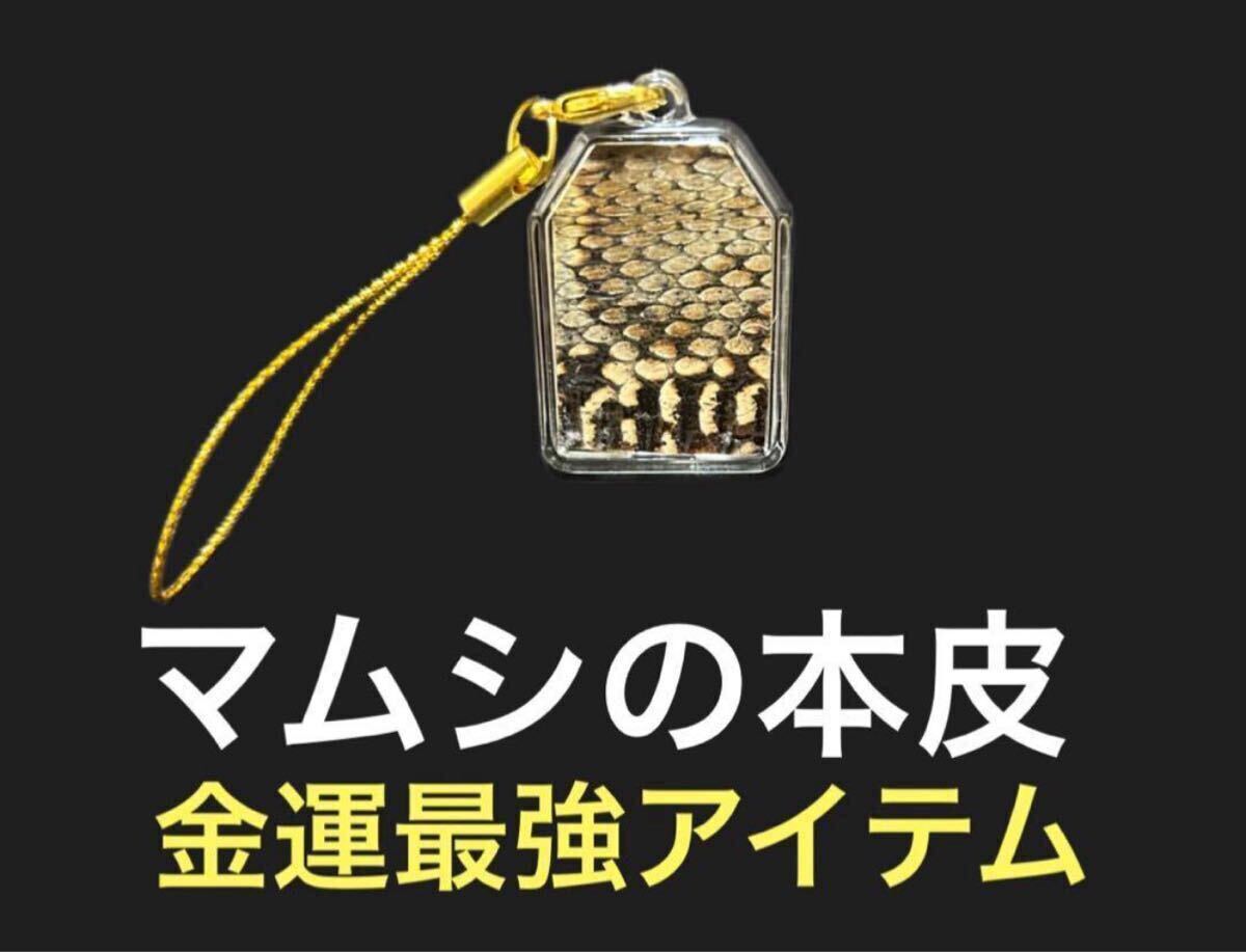 12 マムシの皮 金運 開運 一攫千金 魔除け 家内安全 守り神拍卖