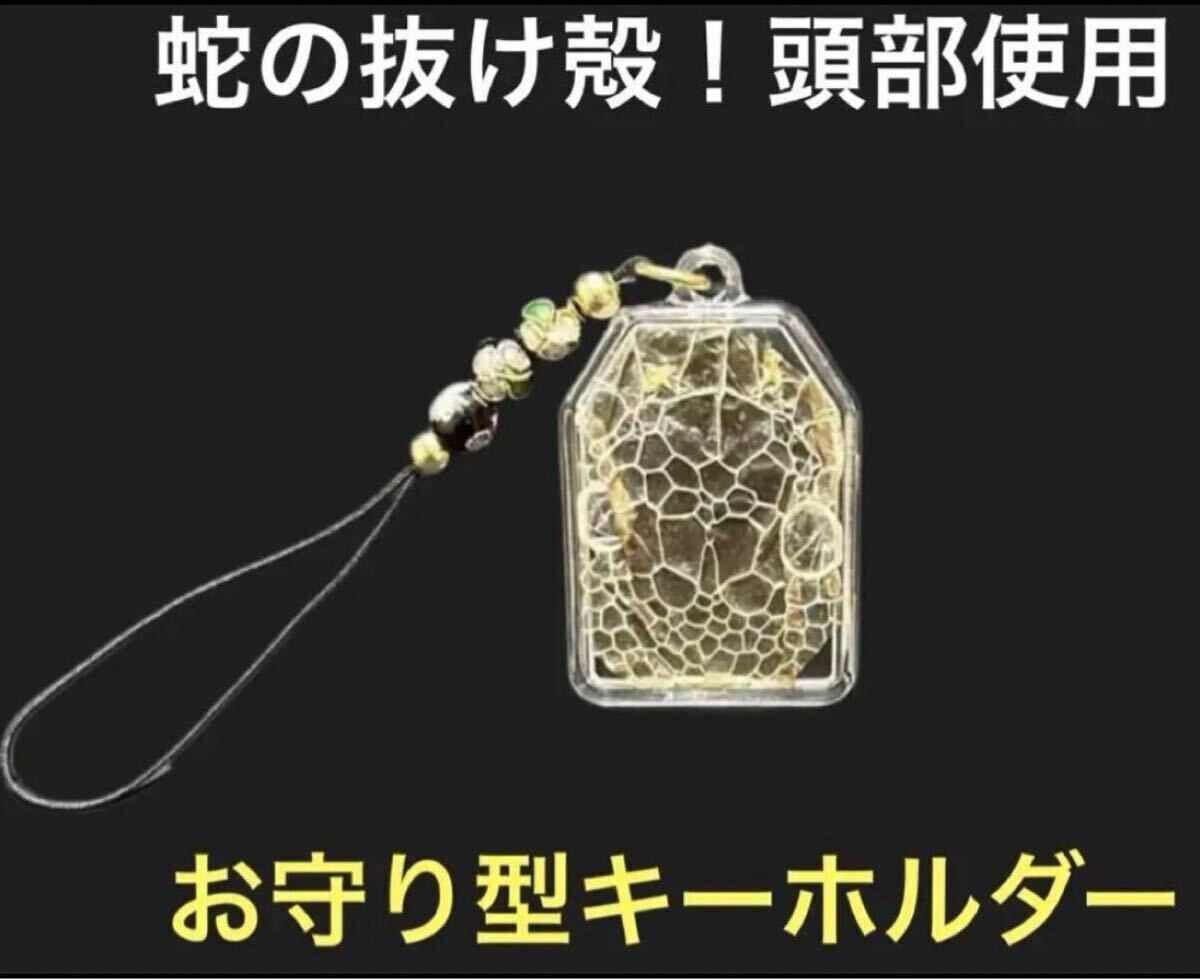 6 錦蛇の抜け殻 金運 開運 一攫千金 魔除け 家内安全 守り神拍卖