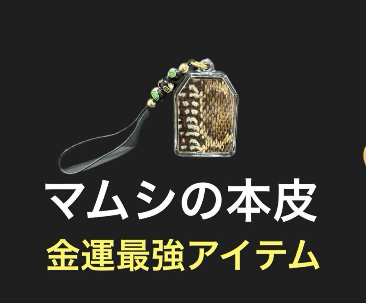 8 マムシの皮 金運 開運 一攫千金 魔除け 家内安全 守り神拍卖