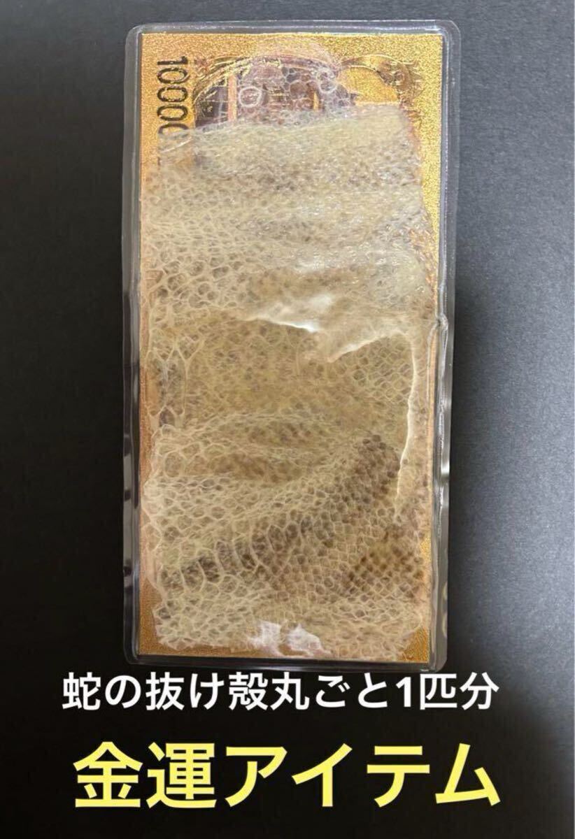 蛇の抜け殻 金運 開運 魔除け拍卖