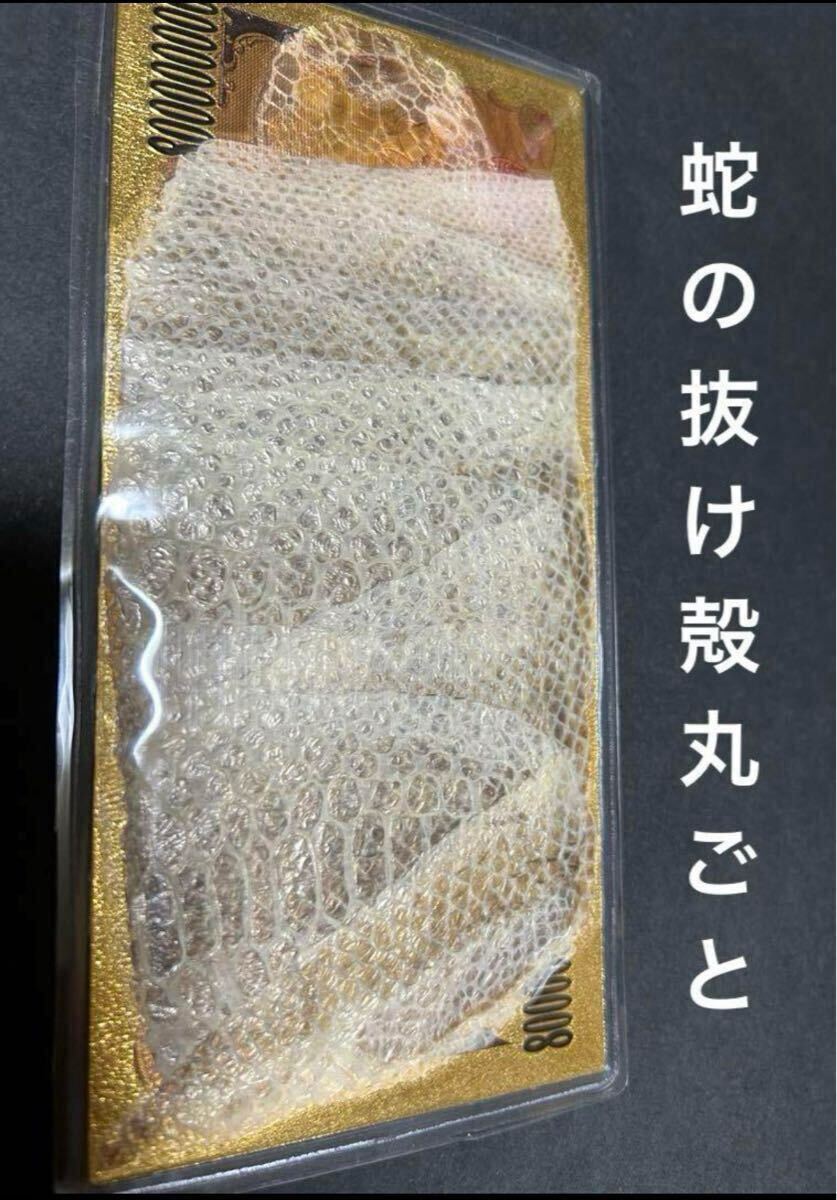 蛇の抜け殻 アナコンダ 金運 魔除け 開運 財布用拍卖