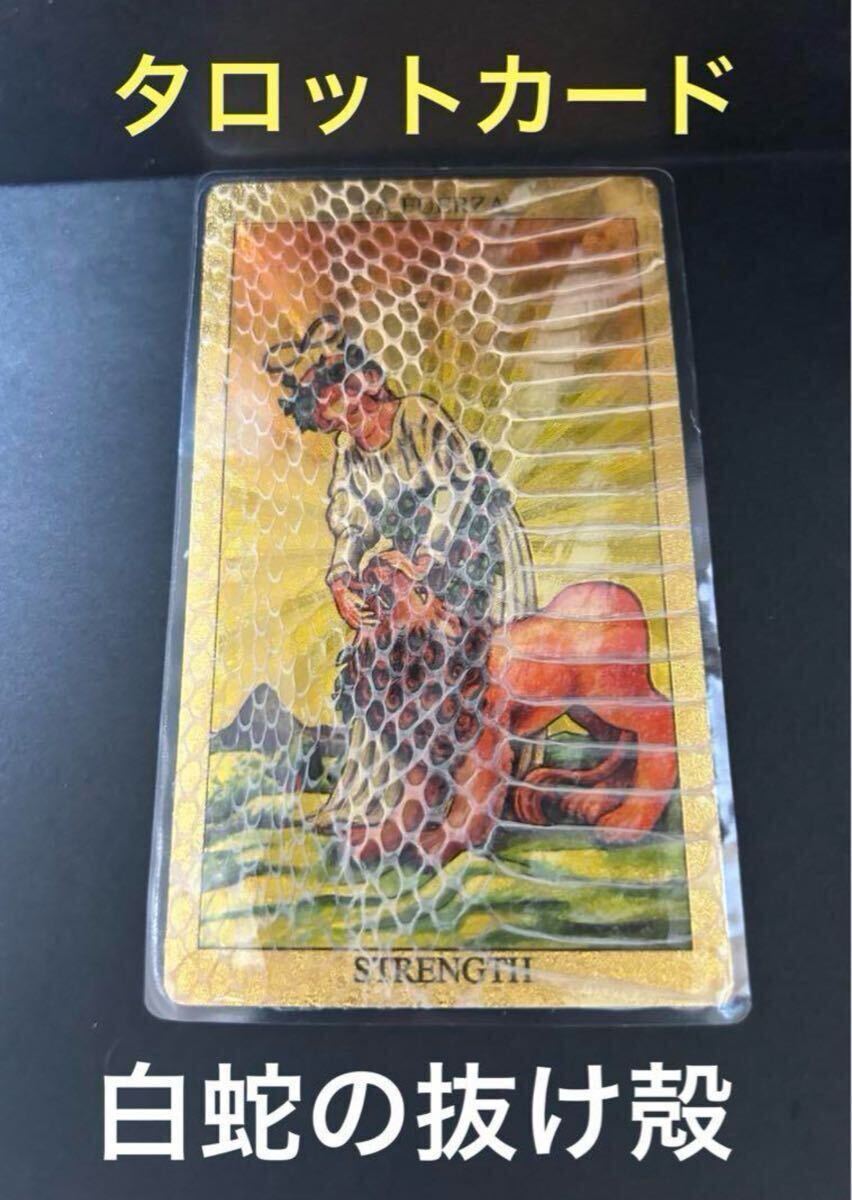 白蛇の抜け殻 蛇の抜け殻 開運 魔除け 金運 ホルスの目拍卖