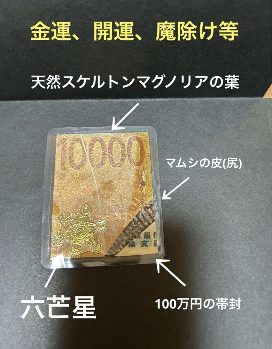 金運 開運 魔除け 家内安全 マムシ 帯封拍卖