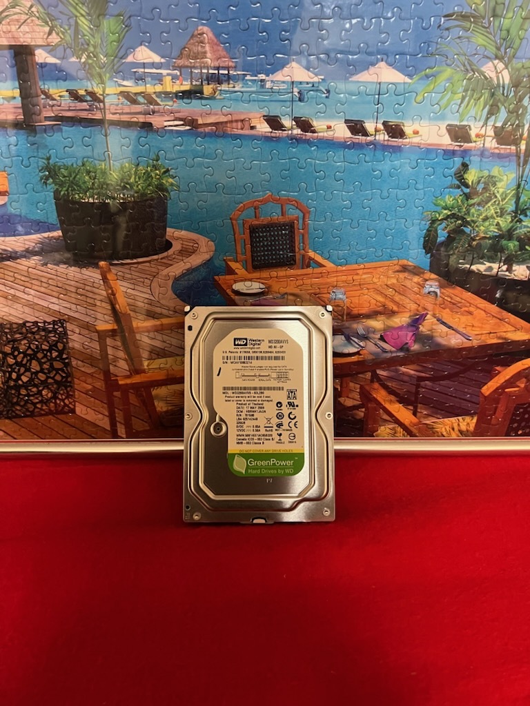 不良返金保証 ハードディスク Western Digital WD3200AVVS-63L2B0 320GB (F74)拍卖