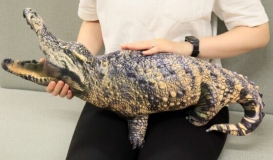 リアル! ワニ クッション BIG拍卖