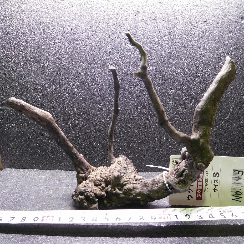 枝流木 リベラ ウッドルーツS 1点物 No.143 天然 デルフィス アク抜き済み レイアウト アクアリウム RIVERA拍卖