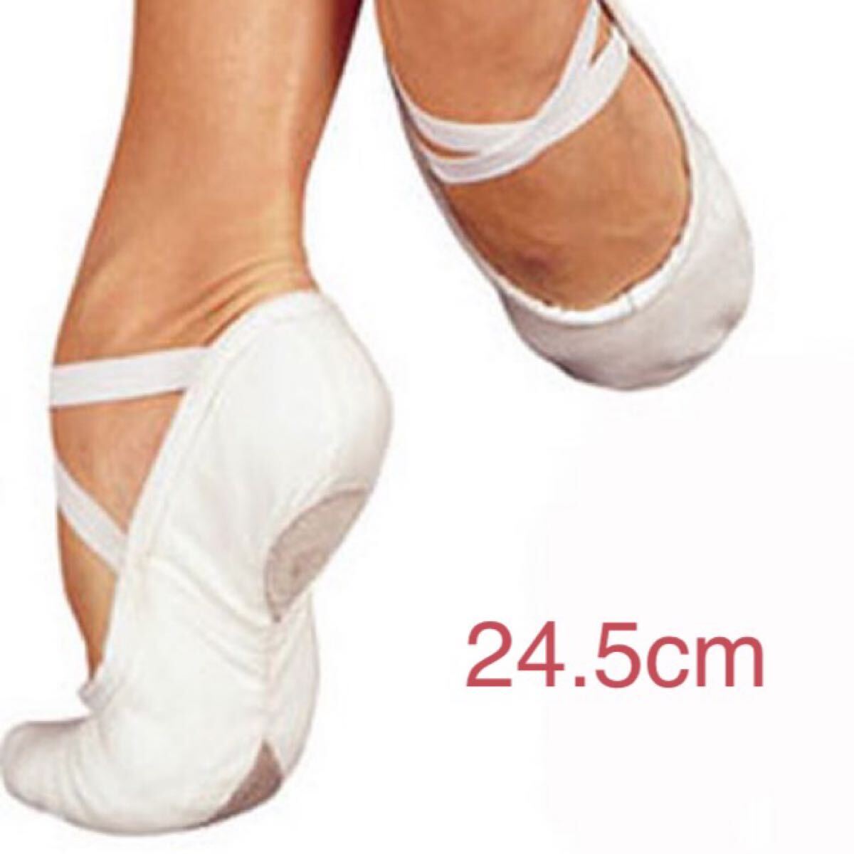 送料込税込 24.5cm白の全布スプリットバレエシューズ大人気【TING】拍卖