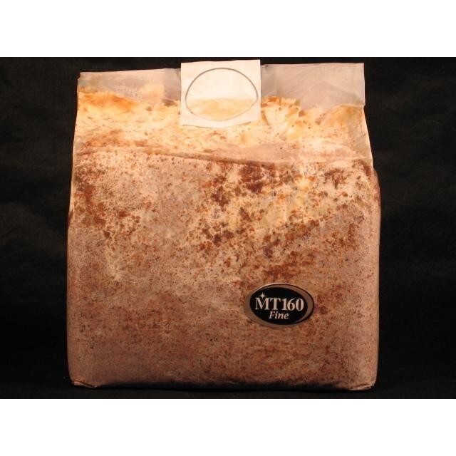 【送料無料】微創研【mother】菌糸ブロック シワタケ MT160Pタイプ オールクヌギ 3.6L×5個セット ※商品説明をお読みの上ご注文下さい。拍卖