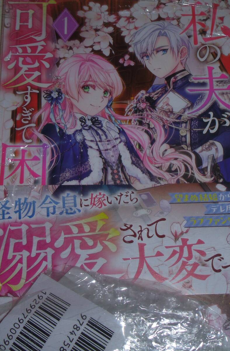 私の夫が可愛すぎて困る 1巻拍卖