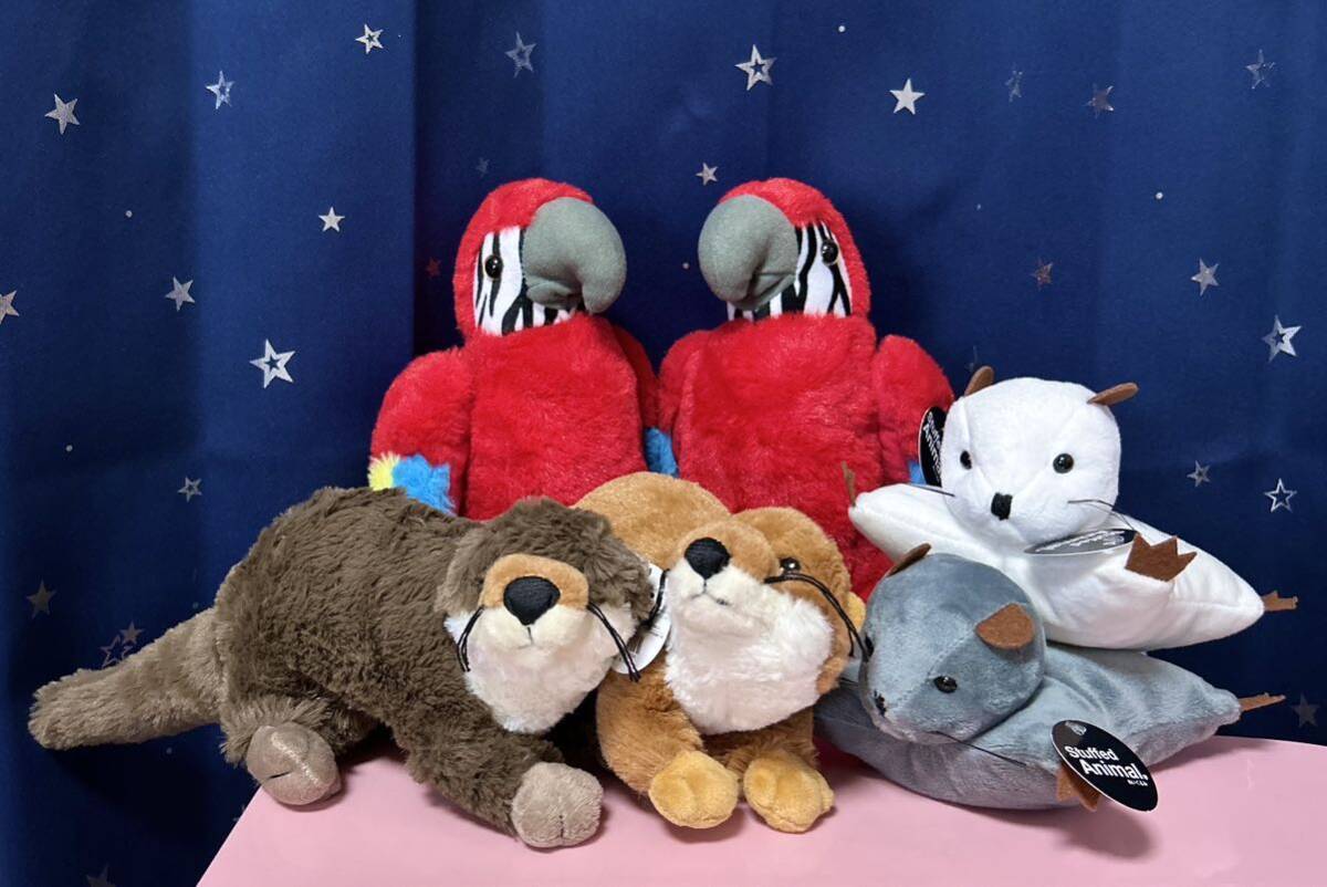 即決 Stuffed Animal モモンガ オウム カワウソ ぬいぐるみ セット レッド 鳥拍卖