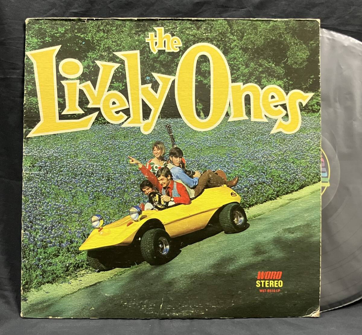 LP 米オリジ【The Lovely Ones】ザ・ライヴリー・ワンズ(ソフトロック)拍卖