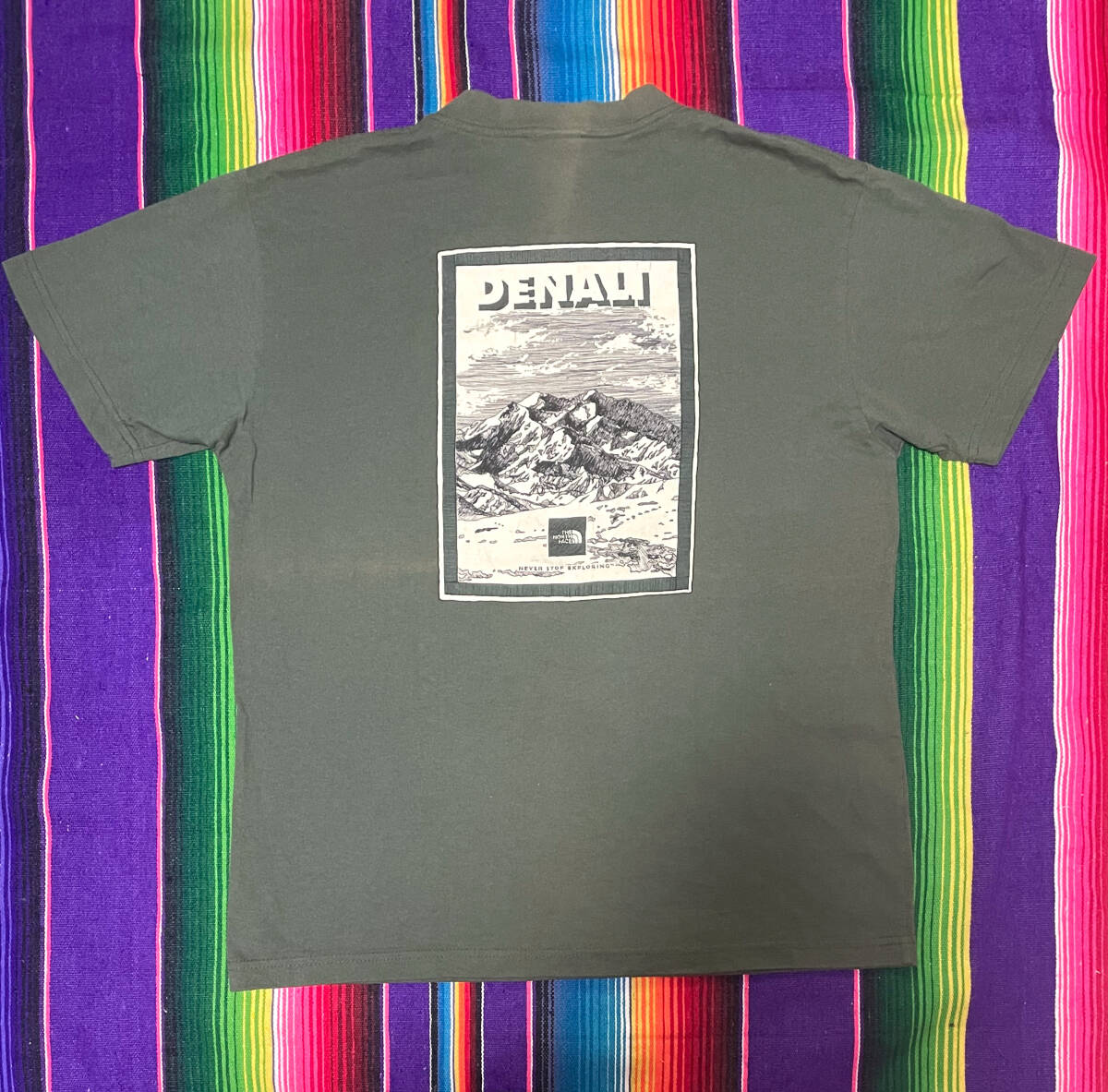 レア! 90年代製 1990s USA製 North Face(ノースフェイス)アラスカ DENALI(デナリ)ROCKSOLID Tシャツ VINTAGE(ヴィンテージ) マッキンリー拍卖