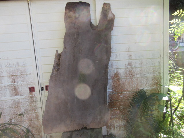 鹿児島 屋久杉原木 未加工板 自然乾燥約25年拍卖