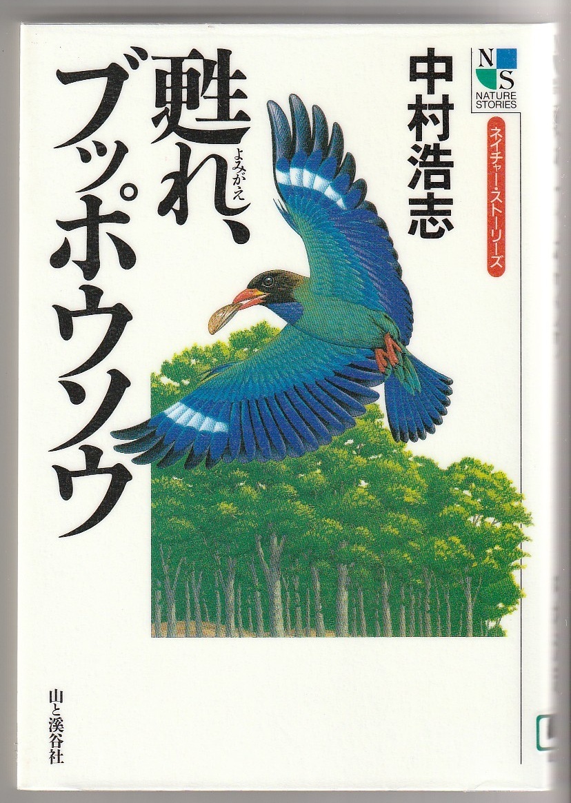 甦れ、ブッポウソウ 中村浩志 山と渓谷社 2005年拍卖