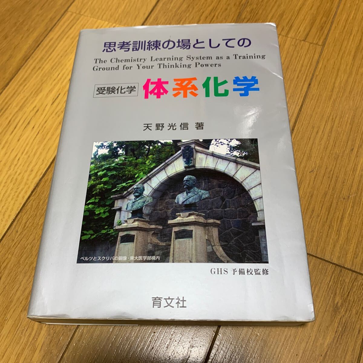 思考訓練の場としての体系化学拍卖