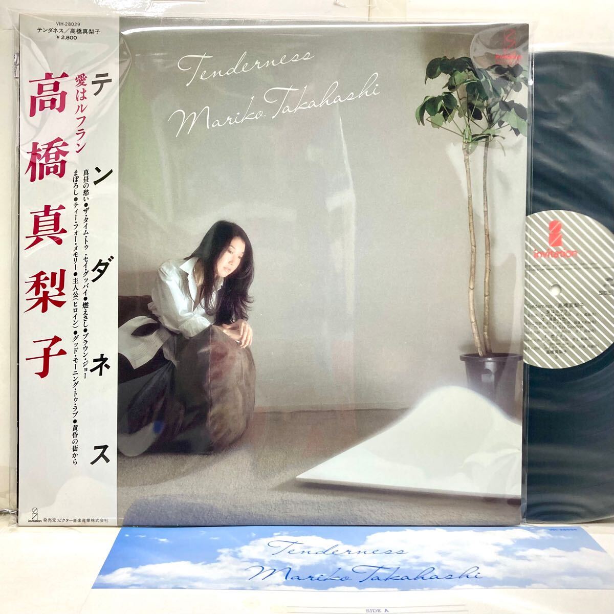 【極美品 帯付き】Tenderness テンダネス / 高橋真梨子 【LPアナログ レコード】拍卖