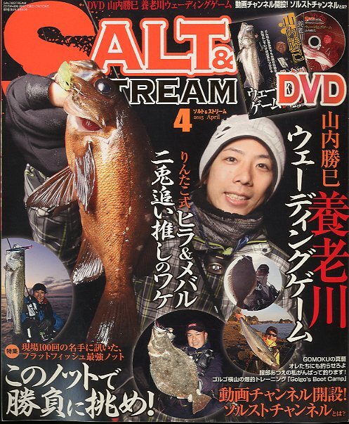 SALT&STREAM(ソルト&ストリーム)-未開封DVD付き- 2015年4月号 拍卖