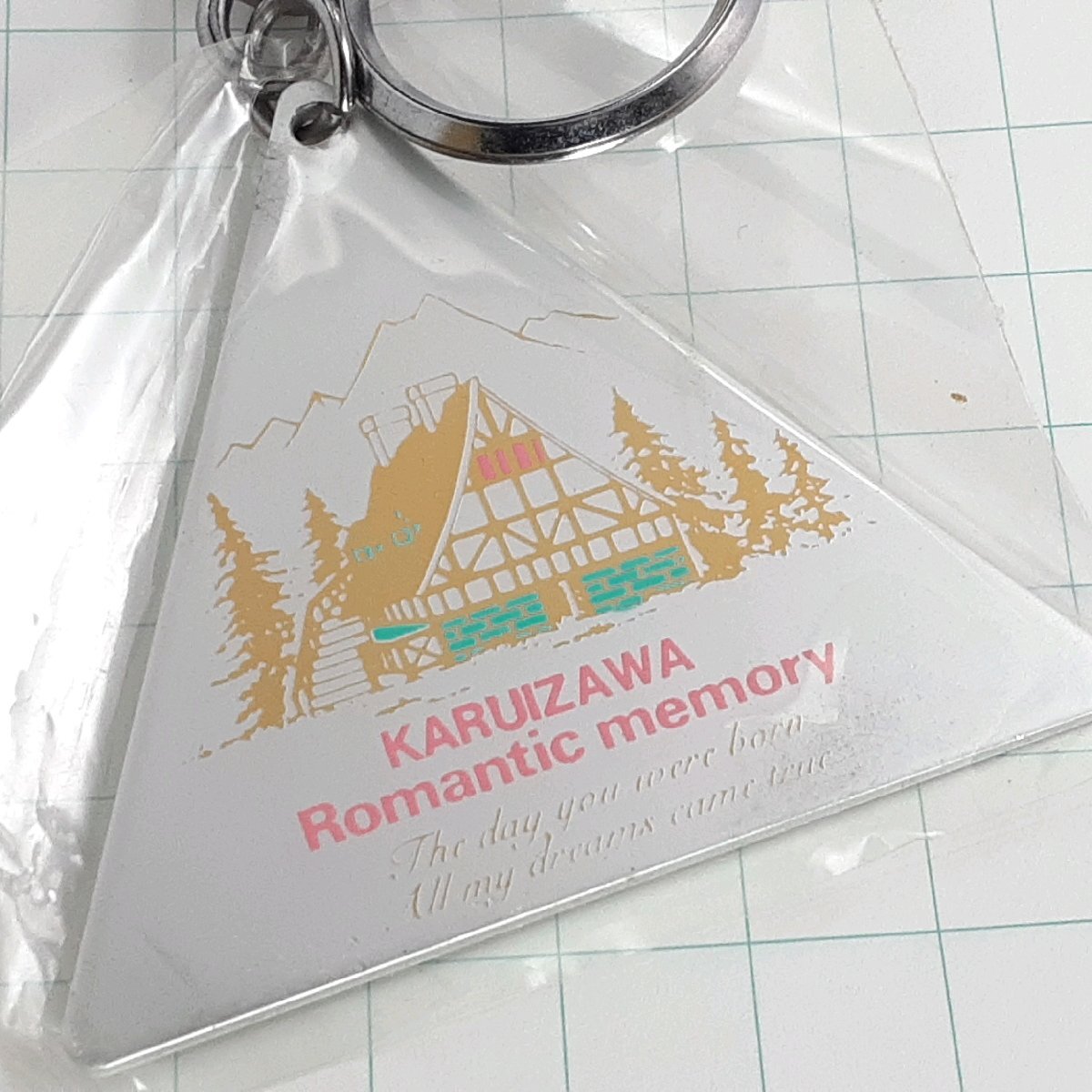 送料無料)未開封 軽井沢 観光 旅行 登山 記念 キーホルダー A27272拍卖