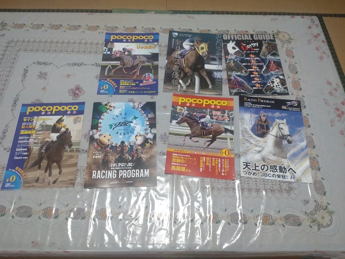 ポコポコPOCOPOCO☆セイントメモリー・リッカルド・ソルテ・JBC名古屋・佐賀・2歳優駿・ダービーウィーク拍卖