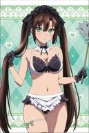 中古タペストリー 03.煌坂紗矢華 描き下ろしB2タペストリー 「ストライク・ザ・ブラッド FINAL」拍卖