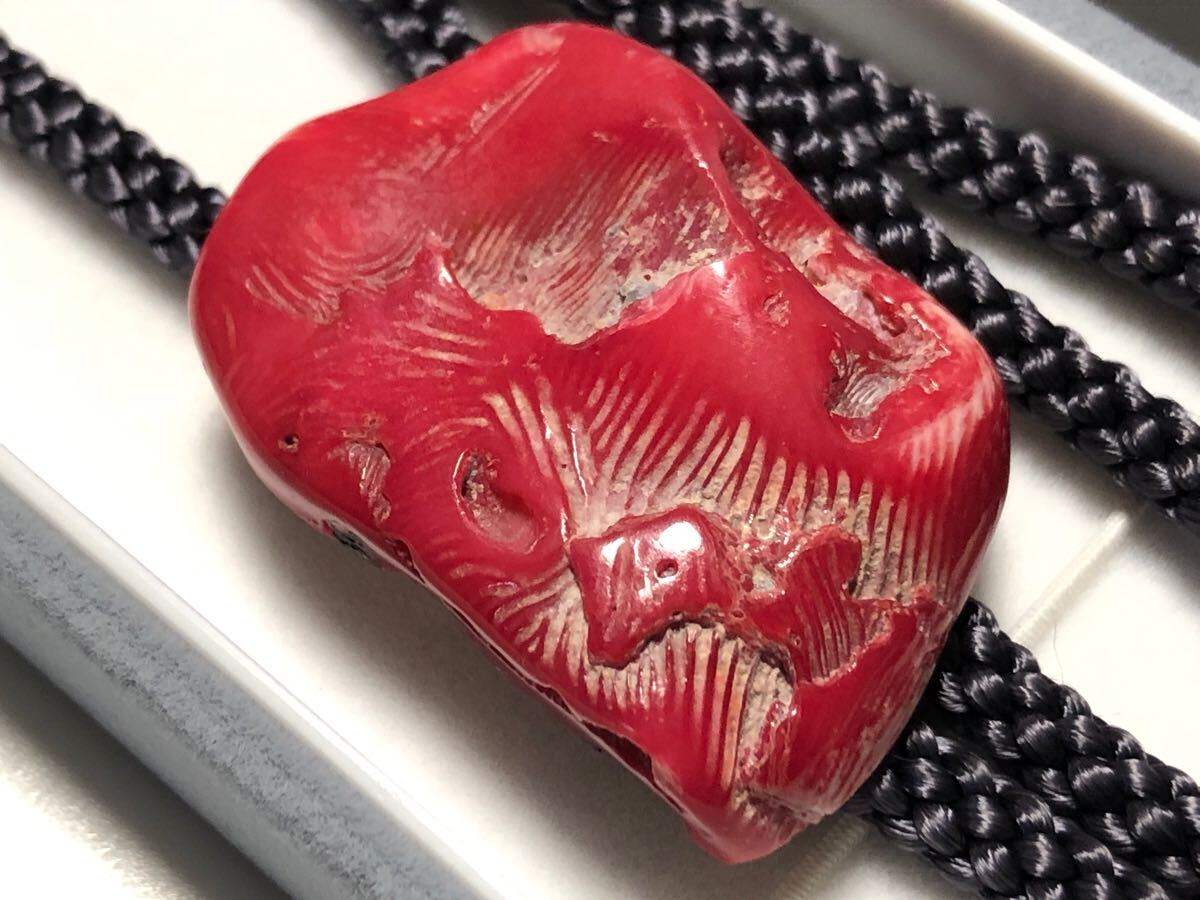 山珊瑚 28.0g ループタイ【検/さんご/サンゴ/コーラル】拍卖