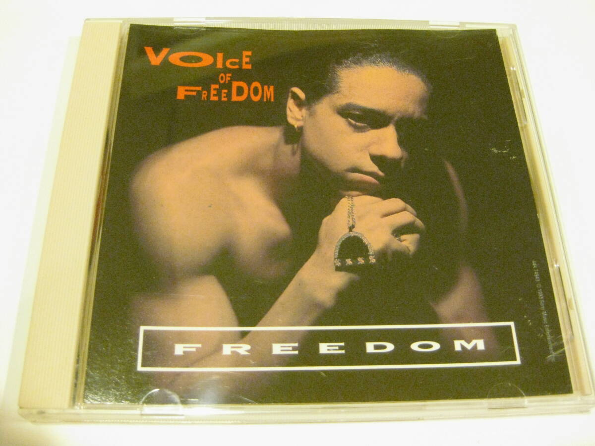 ●● FREEDOM WILLIAMS 「VOICE OF FREEDOM」 シングル、1993、Masters at Work拍卖
