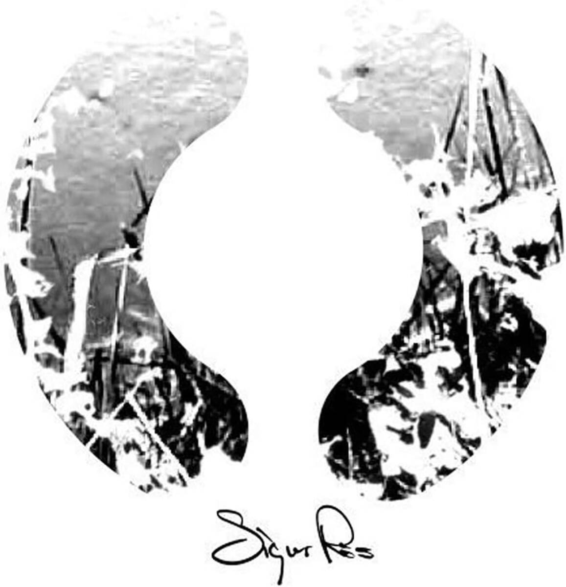 ◆新品◆◆LP アナログ () Sigur Ros (シガー・ロス) レコード ANALOG拍卖