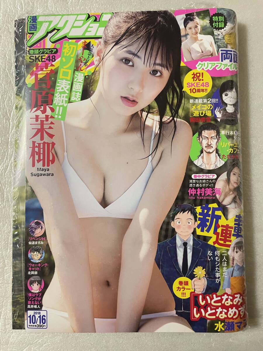 【新品未読】漫画アクション 2018年10月16日NO.20 SKE48 菅原茉椰 両面クリアファイル特別付録拍卖