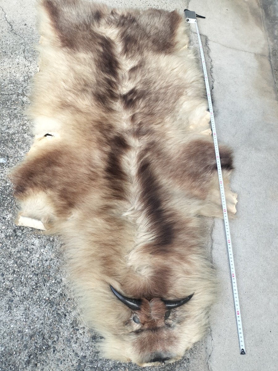 時代 当時物!レア!ニホンカモシカ! 特別天然記念物 !敷物!もののけ姫!縁起物 ! シシガミ!毛皮ラグ!ビンテージ! ガレ拍卖