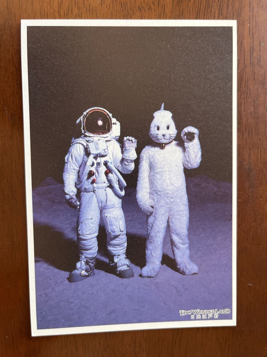 【2025】 ニャンまげ ポストカード 日光江戸村拍卖