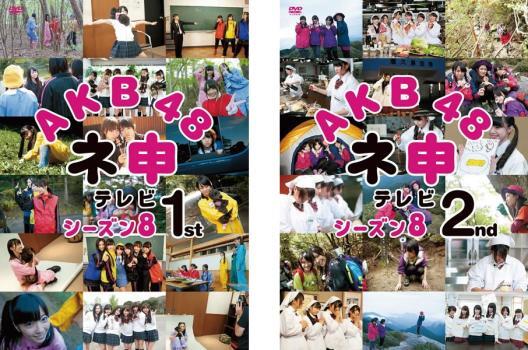 AKB48 ネ申 テレビ シーズン8 全2枚 1st、2nd レンタル落ち セット 中古 DVD拍卖