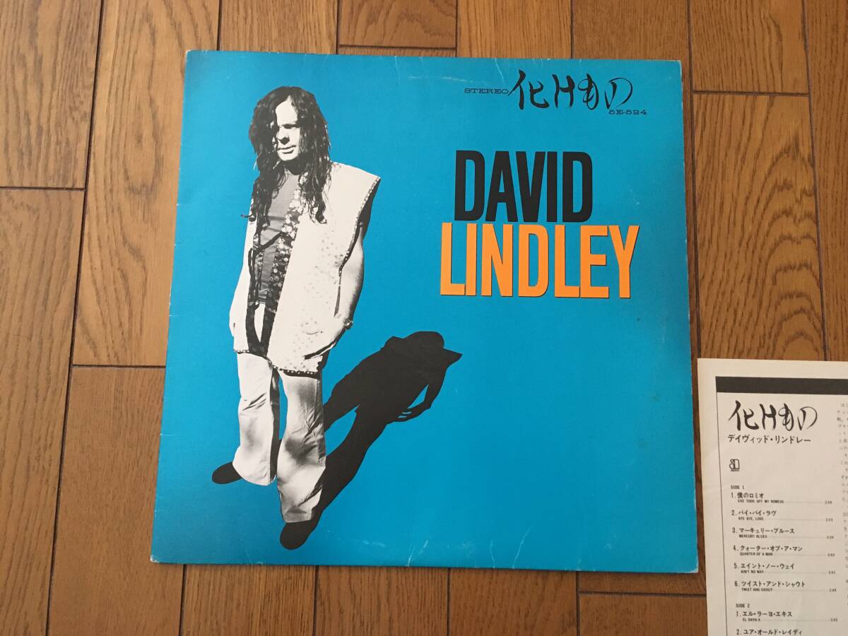 ★デイヴィッド・リンドレーのソロ・デビュー作!/化けもの DAVID LINDLEY ※製作:ジャクソン・ブラウン JACKSON BROWNE ※「僕のロミオ拍卖