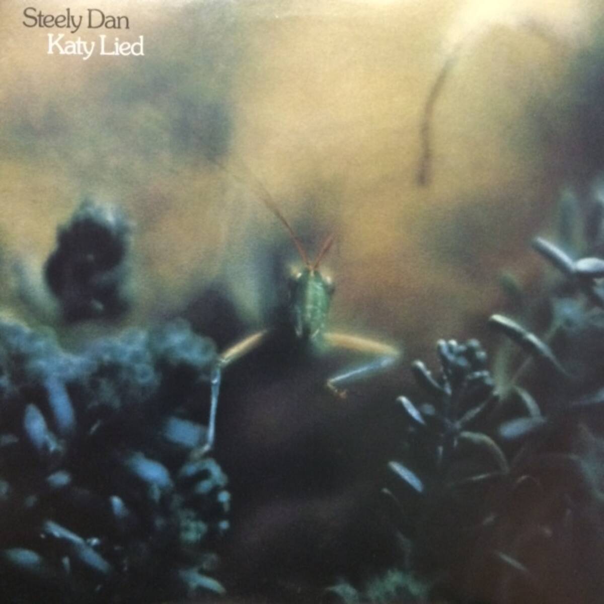 ★★値下出品★ Steely Dan - Katy Lied(★美品!)   ★元値15000円★拍卖