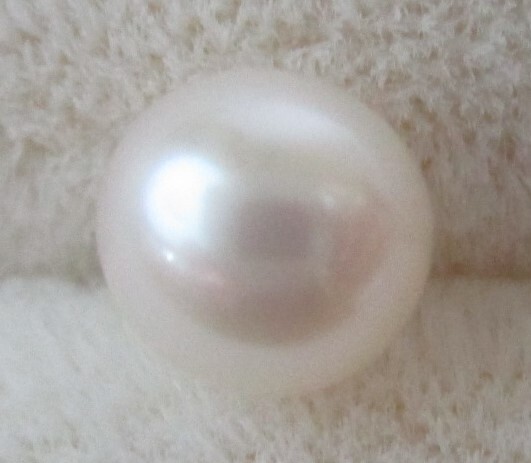 J-376 本真珠 片穴 ルース 5.2㎜ 拍卖