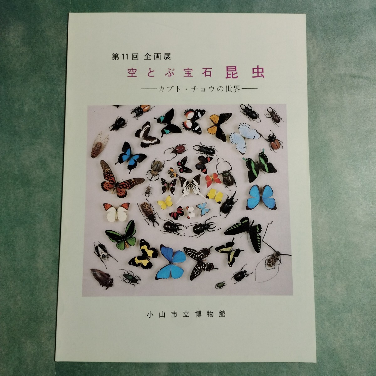 【送料無料】空とぶ宝石 カブト・チョウの世界 図録 * 蝶々 カブトムシ クワガタ アメリカ ヨーロッパ 東南アジア アフリカ 世界 昆虫 冊子拍卖