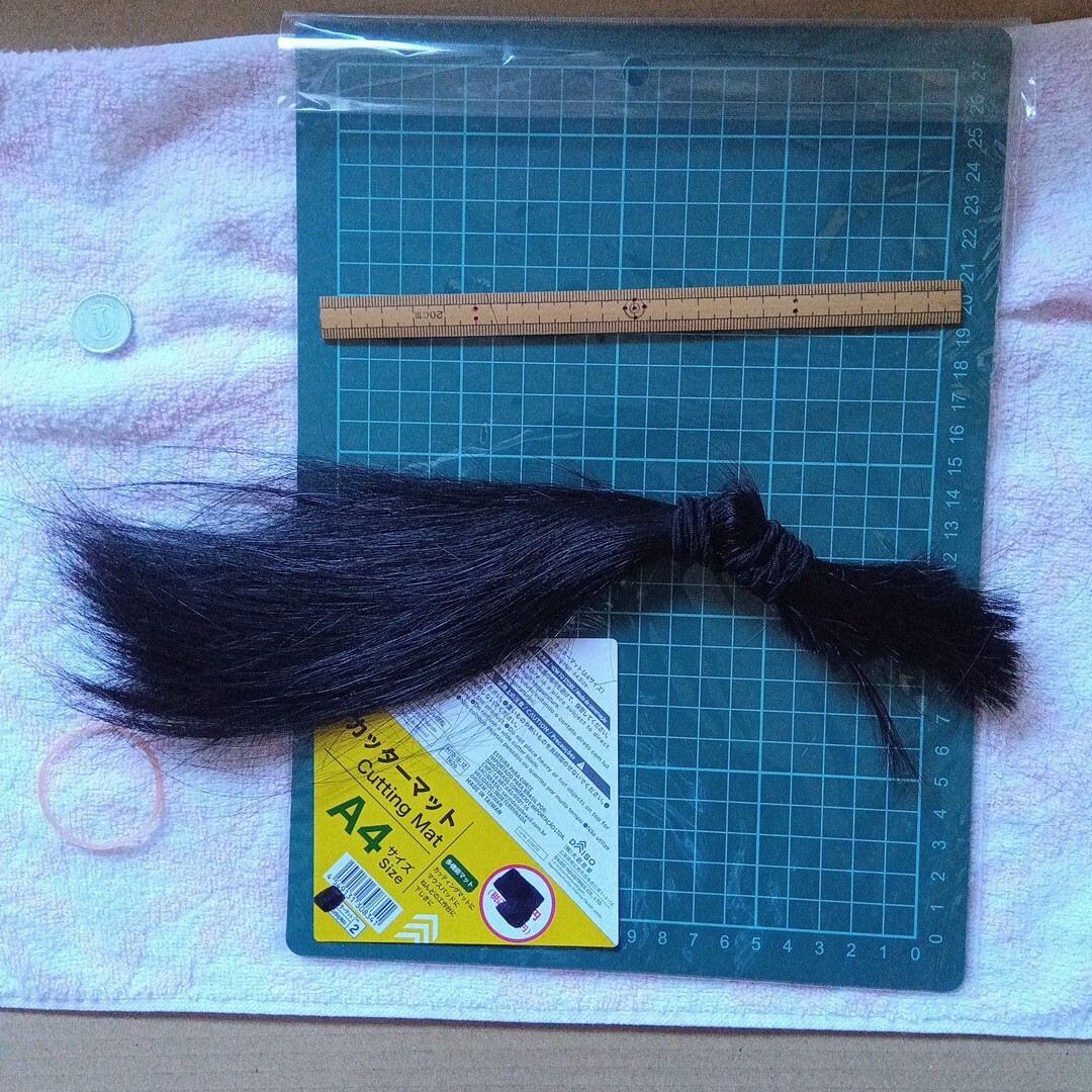 天然人毛 人の黒い髪の毛 髪束 black hair 30cm程 中節拍卖