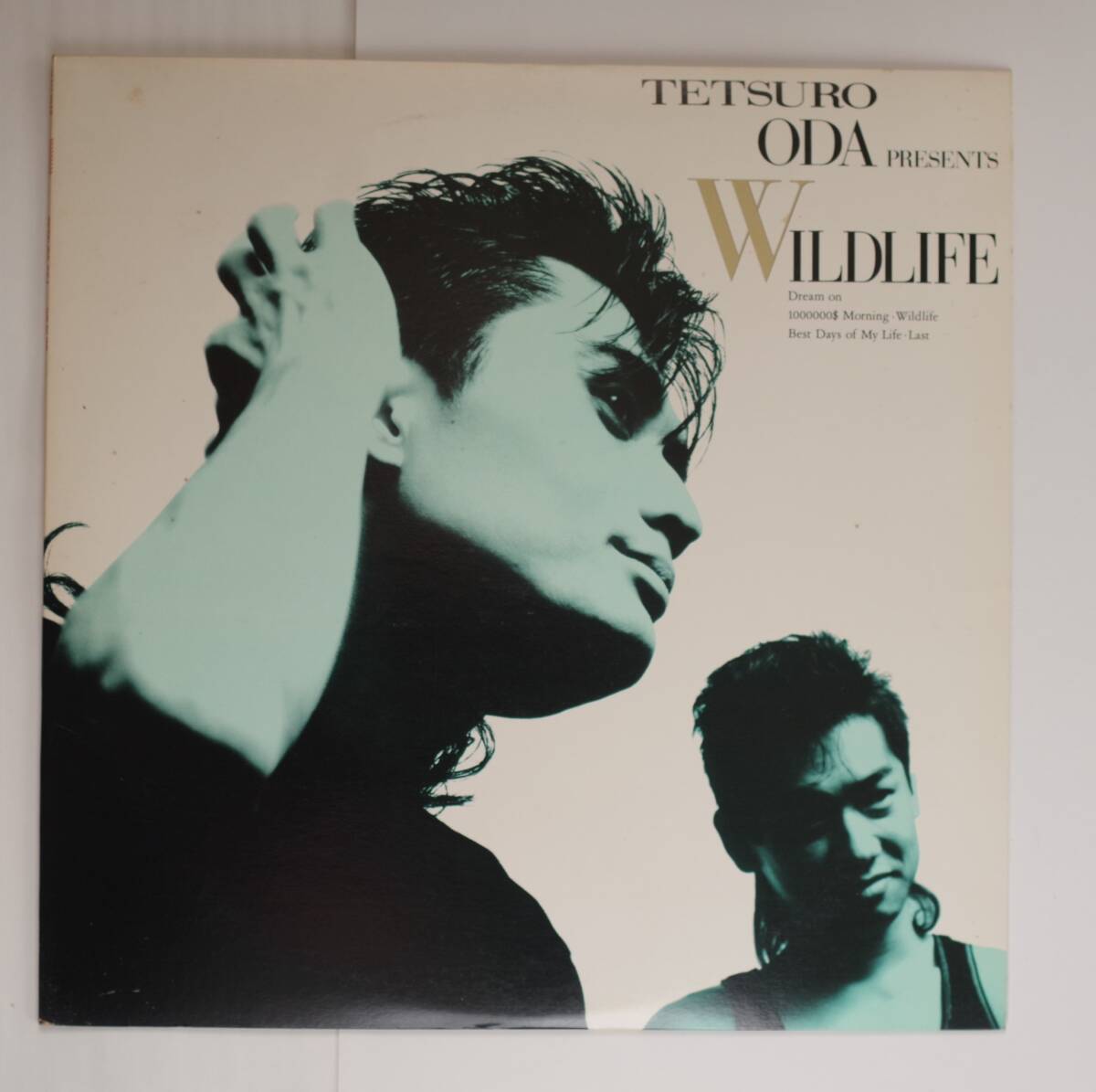 □ 織田哲郎 「WILDLIFE」 SAMPLE盤 拍卖