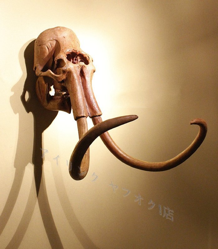 新品動物 象 ゾウ ウォールデコレーション 樹脂 ハンドメイド アニマルヘッド 壁掛け オブジェ インテリア 壁飾り リビング 玄関 雑貨拍卖