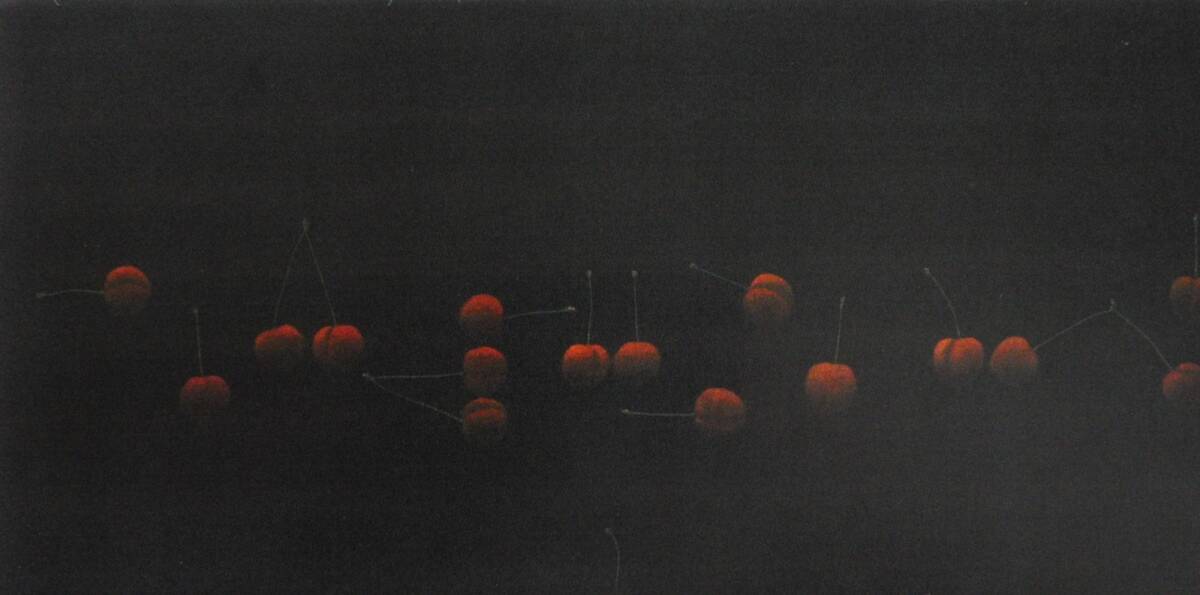 浜口陽三、「17のさくらんぼ」、厳選、希少画集・額装画、人気作品、新品高級額 額装付、状態良好、濱口陽三拍卖