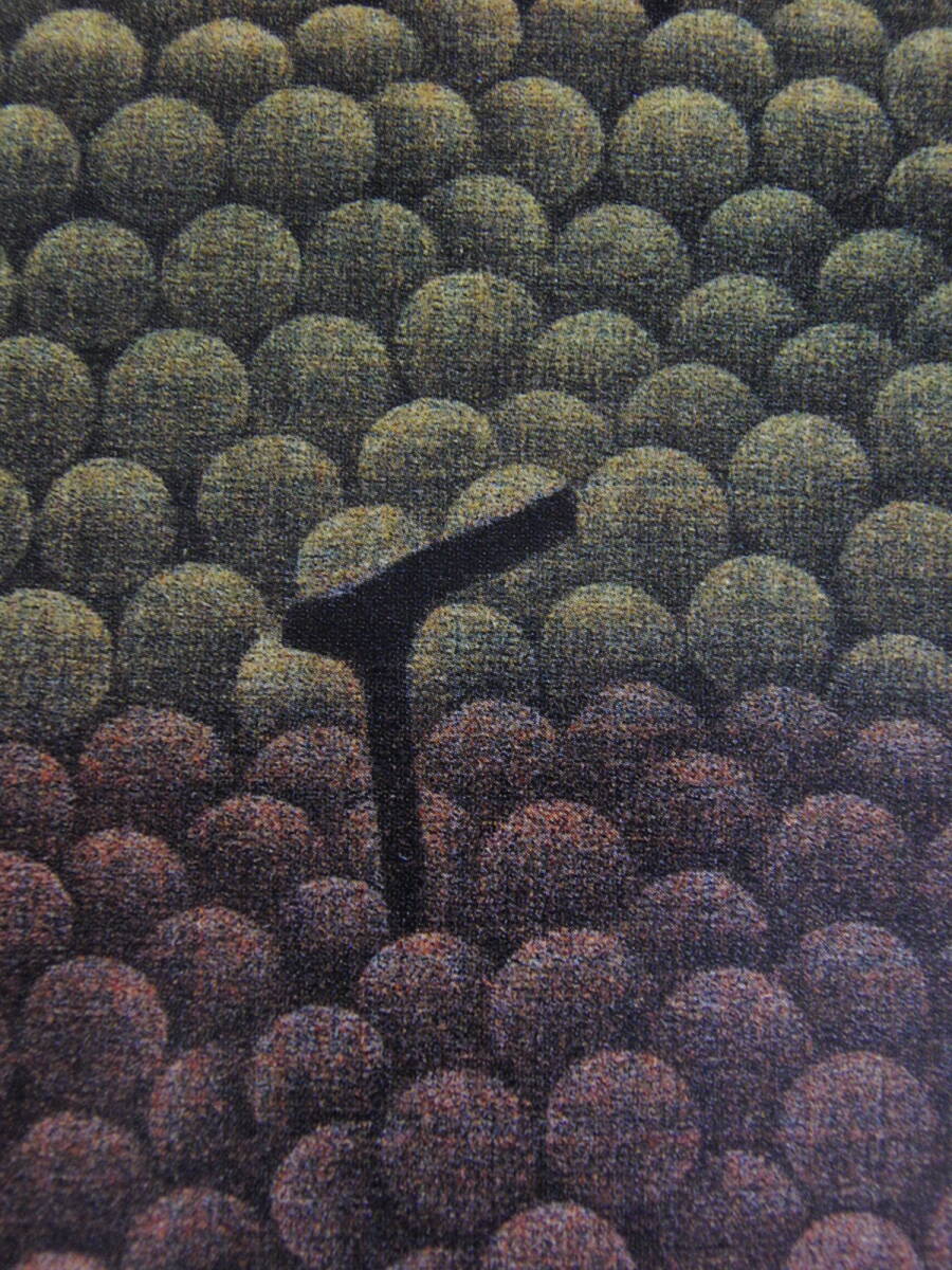 浜口陽三、「緑と紫のぶどう」、厳選、希少画集・額装画、人気作品、新品高級額 額装付、状態良好、濱口陽三拍卖