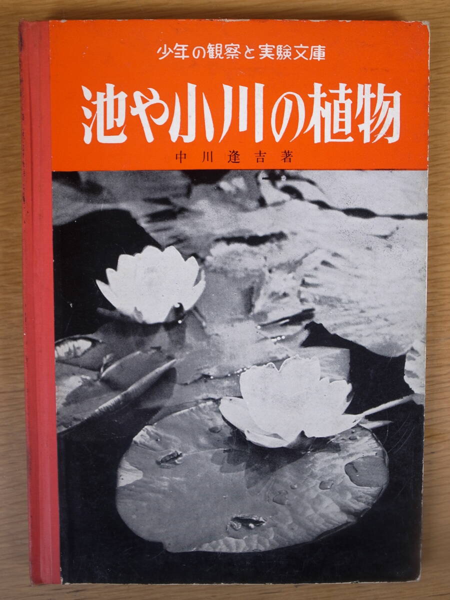 少年の観察と実験文庫 池や小川の植物 中川逢吉 岩崎書店 1958年拍卖