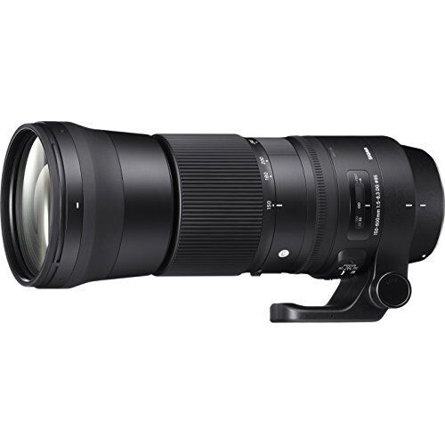 中古 1年保証 美品 SIGMA Contemporary 150-600mm F5-6.3 DG OS HSM (ニコンF用)拍卖