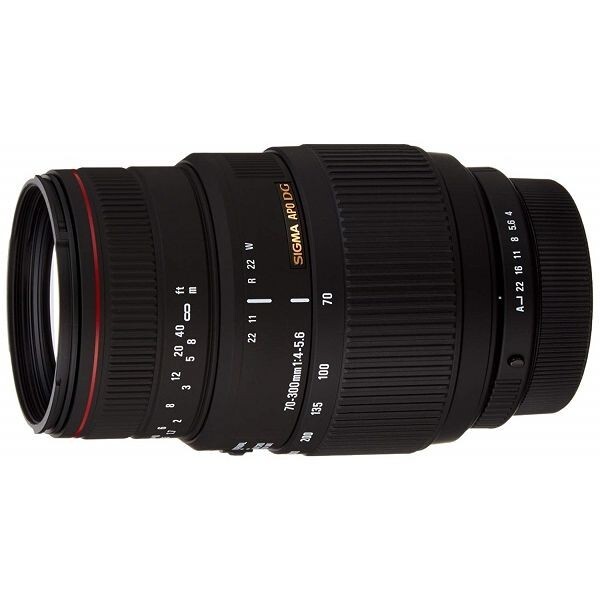 中古 1年保証 美品 SIGMA APO 70-300mm F4-5.6 DG MACRO (ニコンF用)拍卖