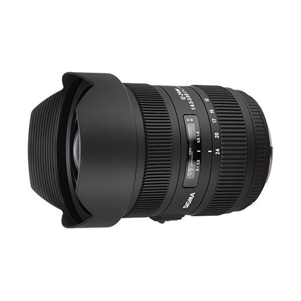 中古 1年保証 美品 SIGMA 12-24mm F4.5-5.6 II DG HSM (キヤノンEF用)拍卖