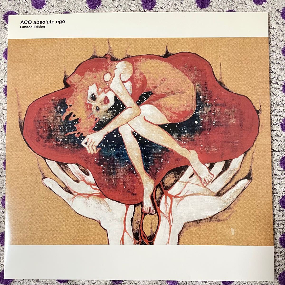 【希少】【LP】◆即決◆中古■【ACO / absolute ego Limited Edition アブソリュート・エゴ】和モノ■SYUM0133 R&B 砂原良徳 Stevie Wonder拍卖