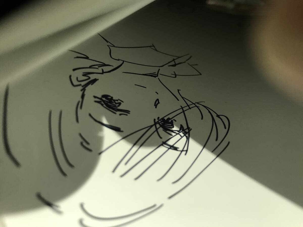 イラスト入り直筆サイン本 月子直筆イラスト入りサイン本 未開封拍卖