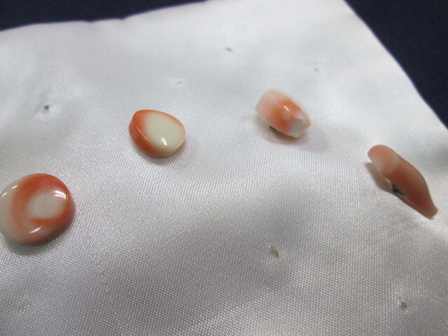 ★さりげないオシャレに珊瑚 アクセサリー おまとめ 四点・ブローチ ・タイタック サンゴ・ ピンク ホワイト・リメイク・プレゼント★拍卖