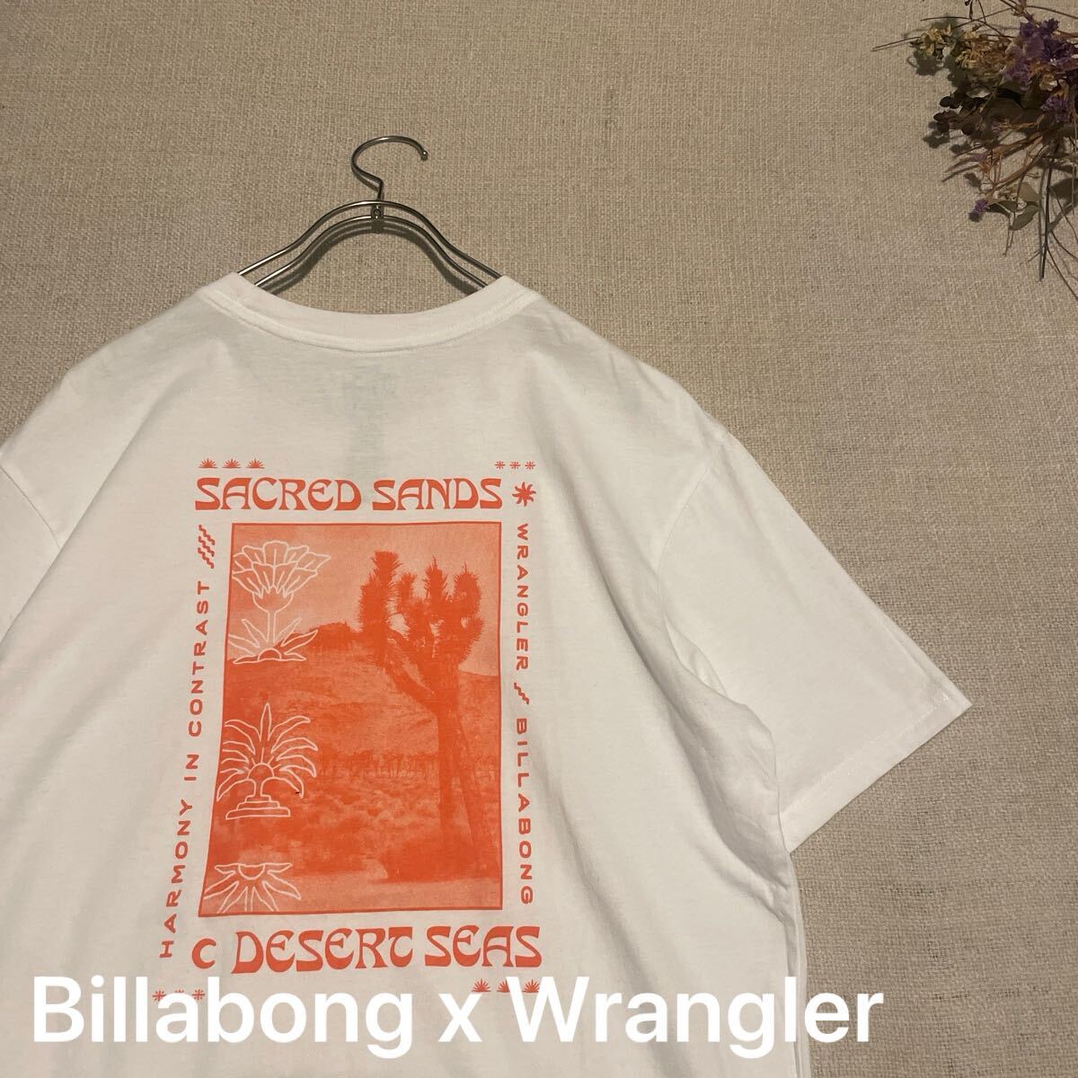 ビラボン  Tシャツ ラングラー コラボ  半袖Tシャツ ホワイト バックプリント 美品 トップス カットソー サーフ メンズMサイズ拍卖