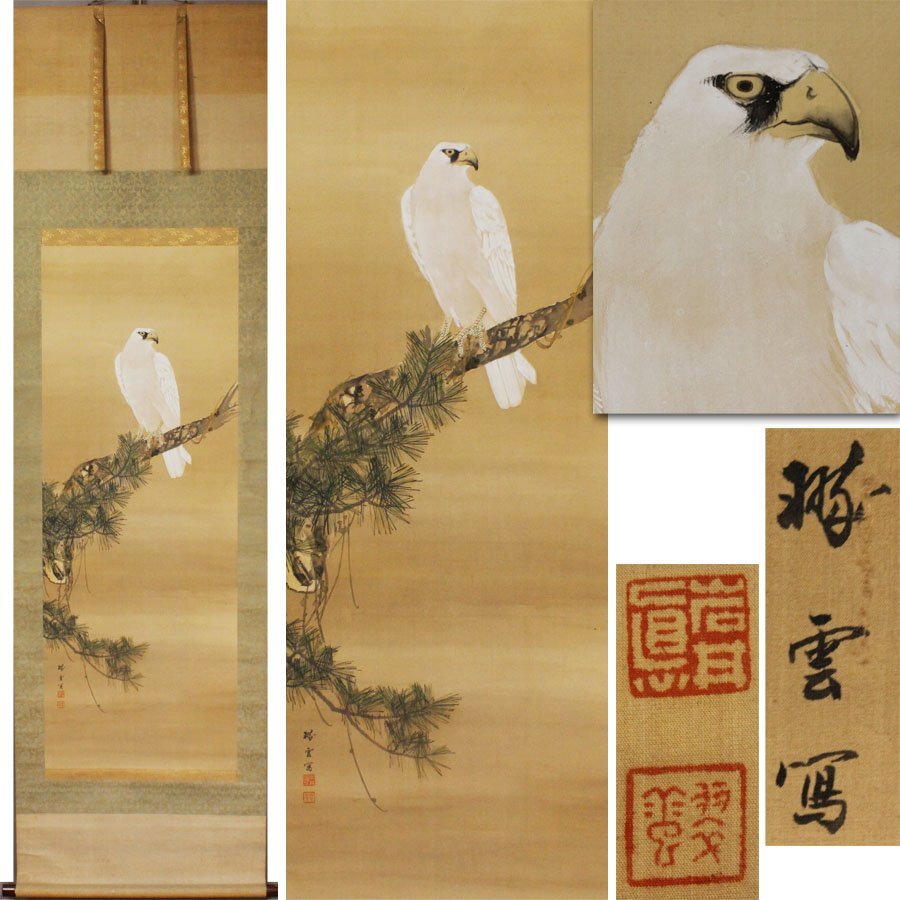 《源》【即決・送料無料】古画 翆雲 筆 彩色 白鷹図/箱付拍卖